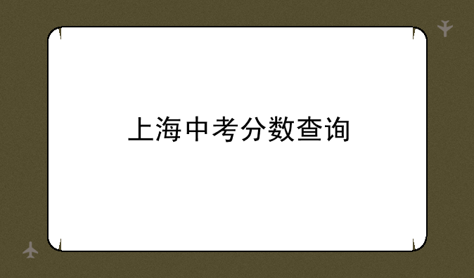 上海中考分数查询
