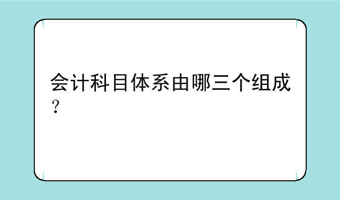 会计科目体系由哪三个组成？