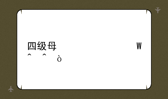 四级每年考试时间？