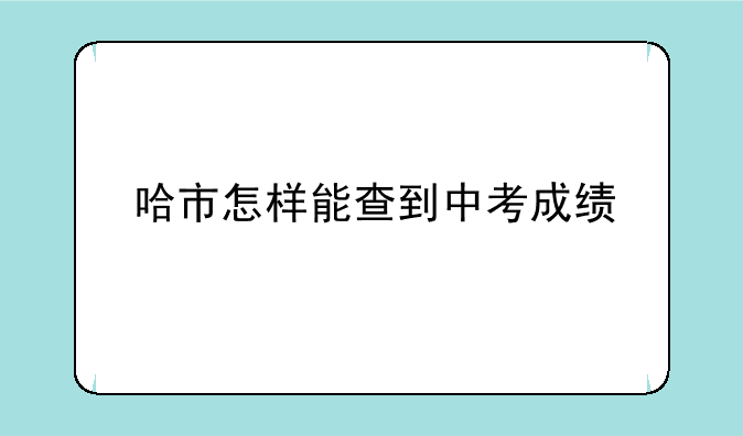 哈市怎样能查到中考成绩