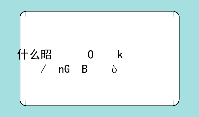 什么是专业建设工程监理？