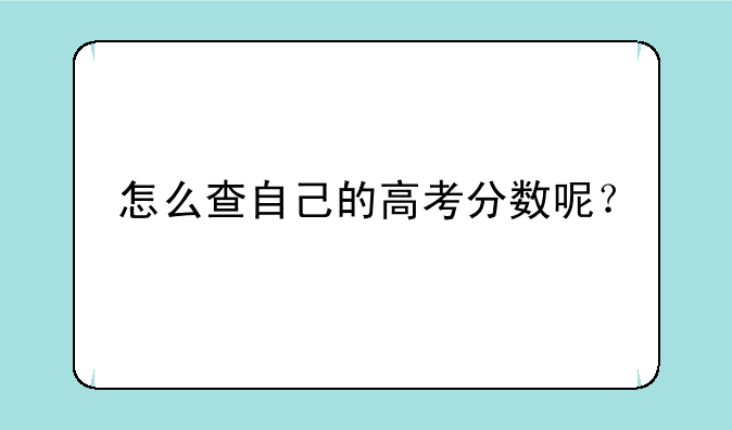 怎么查自己的高考分数呢？