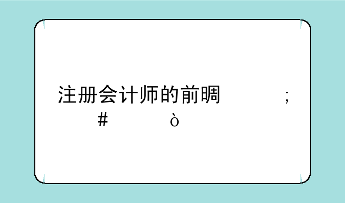 注册会计师的前景怎么样？