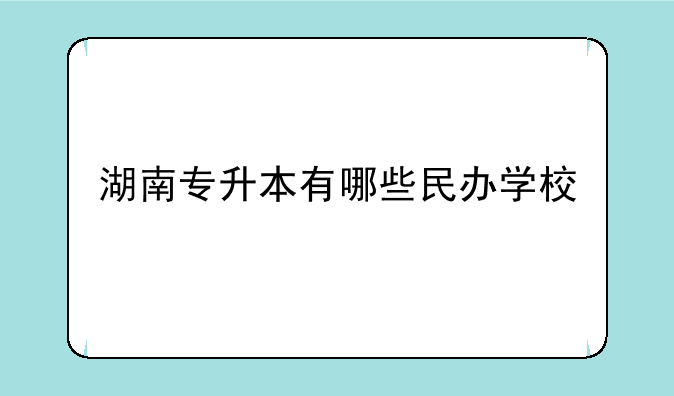 湖南专升本有哪些民办学校
