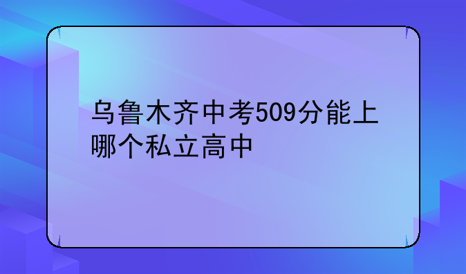 乌鲁木齐中考509分能上哪个私立高中